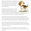 TPT661 All About Dogs Reading Comprehension Passages | 4th Grade Nonfiction